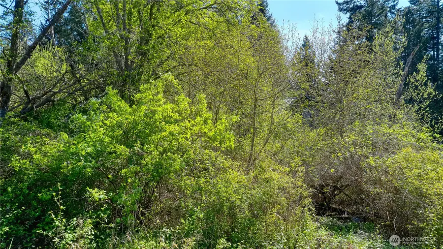 2 Benson Road #2, Point Roberts, WA 98281 - Image #3