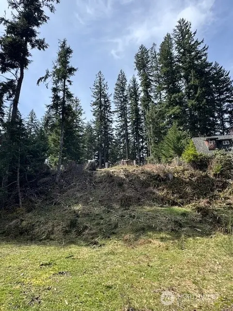 11101 Riverview Drive E #11, Greenwater, WA 98022 - Image #3