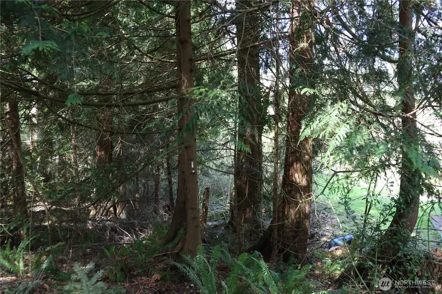 260 SE 18th Place, Sammamish, WA 98075 - Image #2