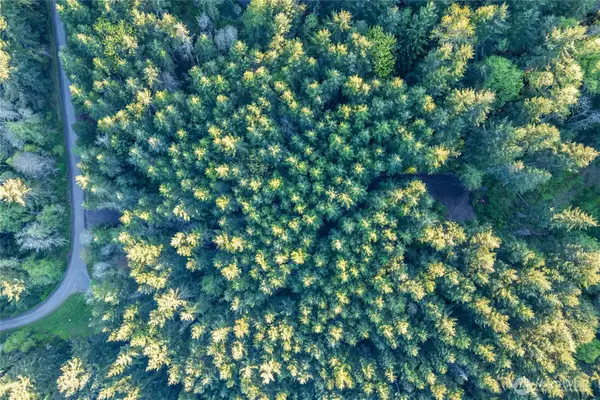 0 Discovery Ridge Road #9, Port Townsend, WA 98368