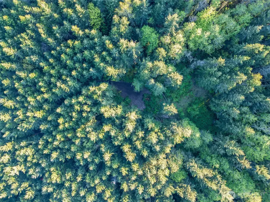 0 Discovery Ridge Road #9, Port Townsend, WA 98368 - Image #3