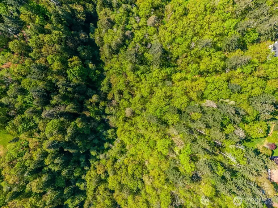 0 SE 362nd Avenue, Washougal, WA 98671 - Image #3