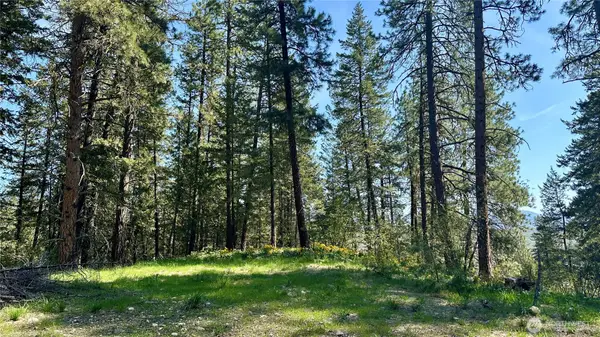 13 Sundance Lane #20 & 22, Winthrop, WA 98862