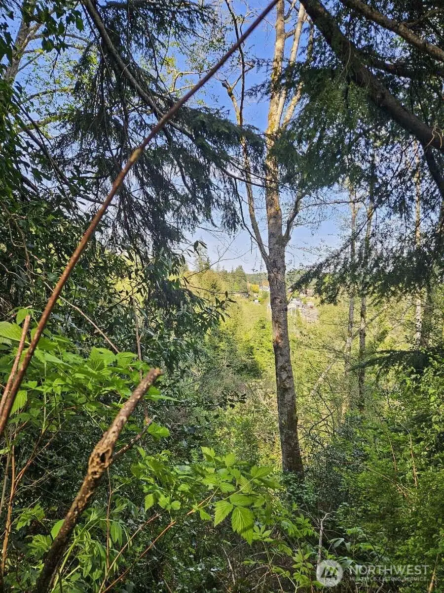 0 Ninth Avenue #27-29, Aberdeen, WA 98520 - Image #3