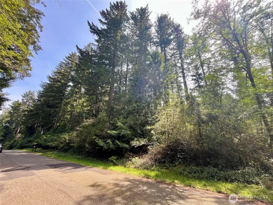 11212 106th Street #178& 179, Anderson Island, WA 98303 - Image #3