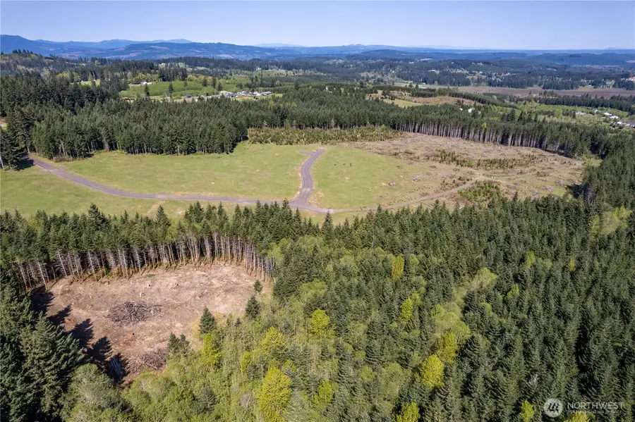 0 Silverwood Drive #F2, Castle Rock, WA 98611 - Image #3