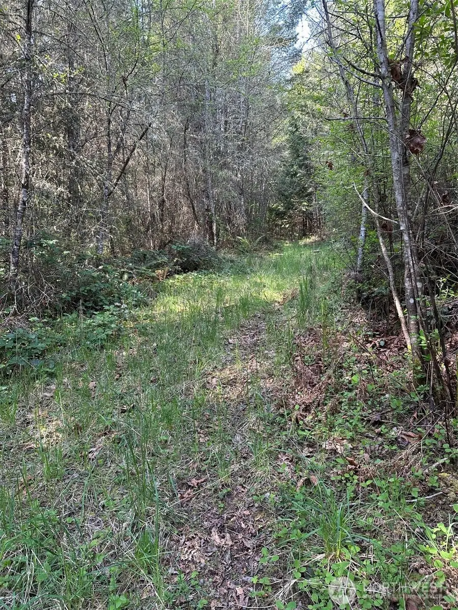 9999 Pristine Lane, Lot 3, Port Angeles, WA 98362 - Image #2