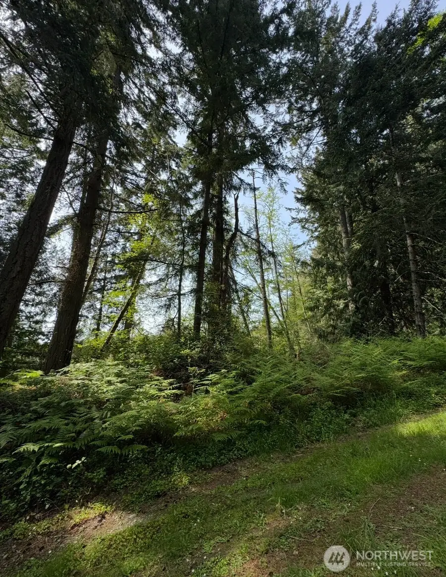 11106 Spruce Dr, Anderson Island, WA 98303 - Image #2