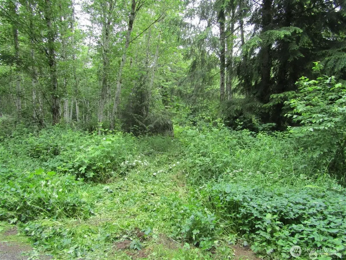 0 Davis Lake Road, Morton, WA 98356 - Image #1