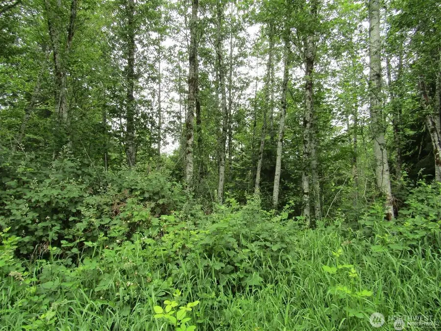 0 Davis Lake Road, Morton, WA 98356 - Image #2
