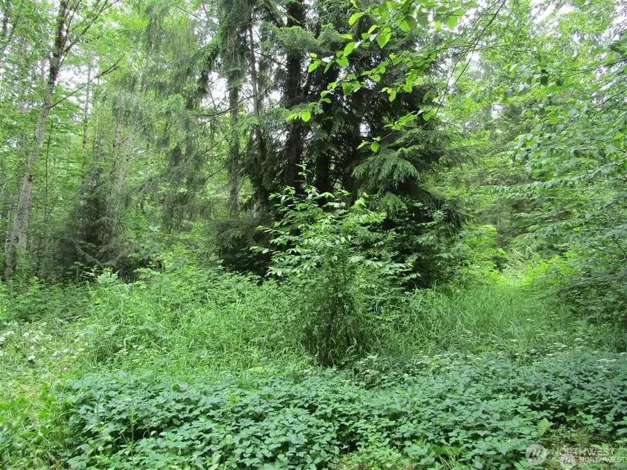 0 Davis Lake Road, Morton, WA 98356 - Image #3