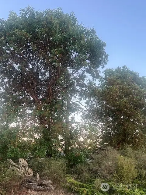 0 Thatcher Pass Road, Lopez, WA 98221 - Image #2