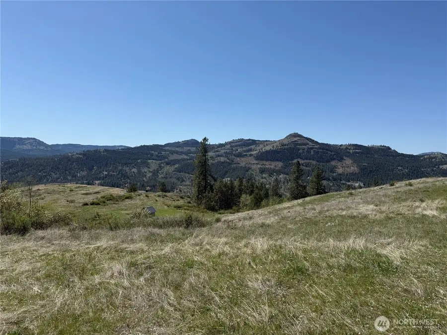 26 Grandview Road, Curlew, WA 99118 - Image #3