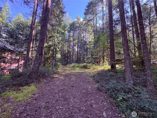 30 N Skokomish Drive, Hoodsport, WA 98548