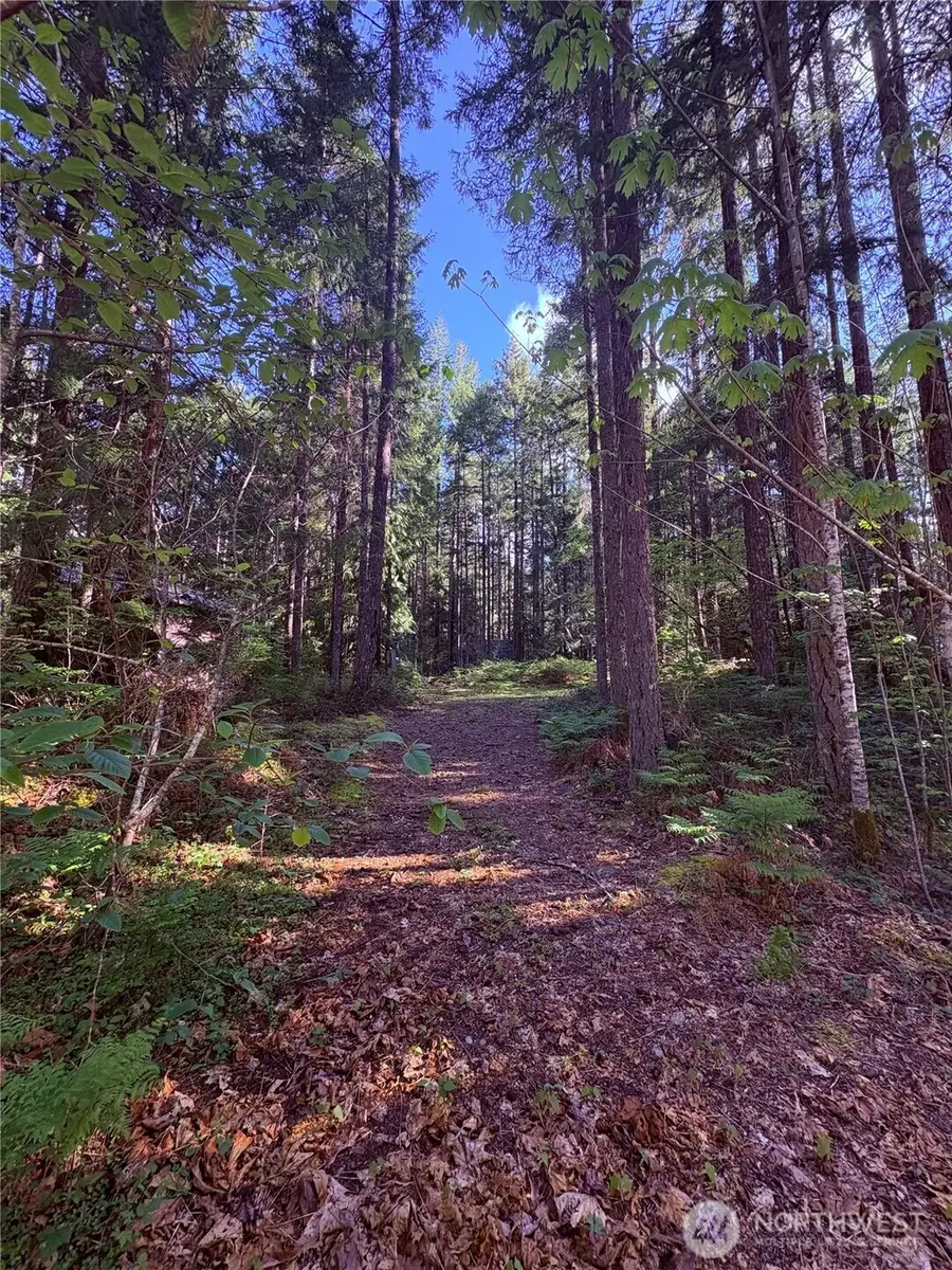 30 N Skokomish Drive, Hoodsport, WA 98548 - Image #2