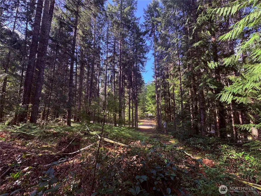 30 N Skokomish Drive, Hoodsport, WA 98548 - Image #3