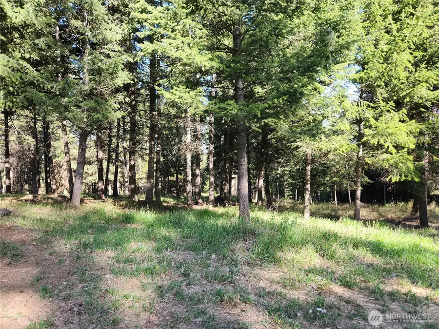 51 Trapline Loop Road #Lot 68, Oroville, WA 98844 - Image #3