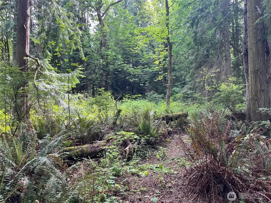 0 Hoffman Road #13, Kingston, WA 98346 - Image #2