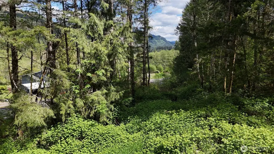 426 Highland Valley Road, Morton, WA 98356 - Image #3