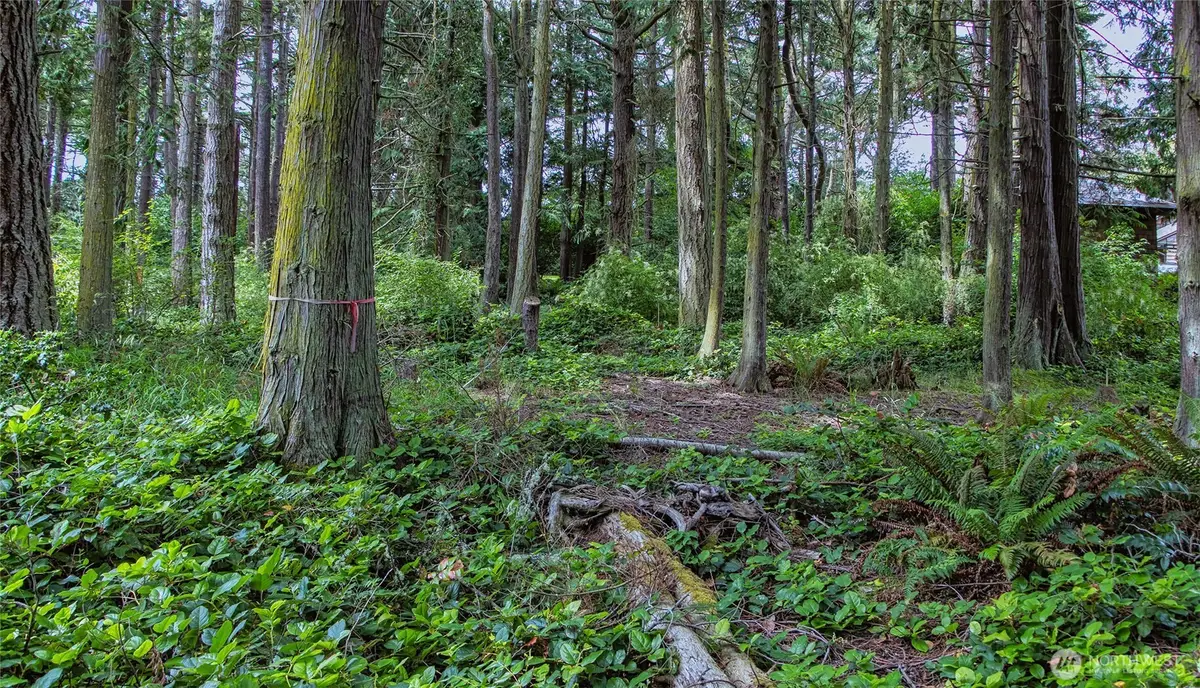 5679 Sheridan Street #6 and 8, Port Townsend, WA 98368 - Image #1