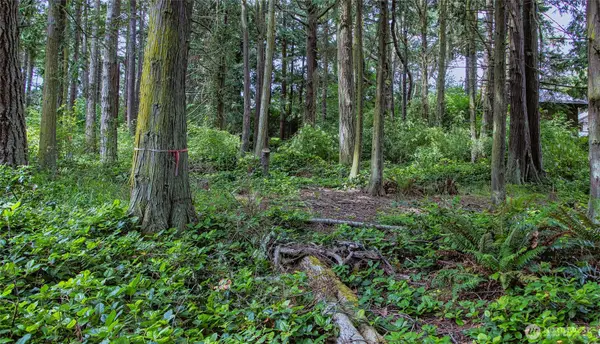 5679 Sheridan Street #6 and 8, Port Townsend, WA 98368