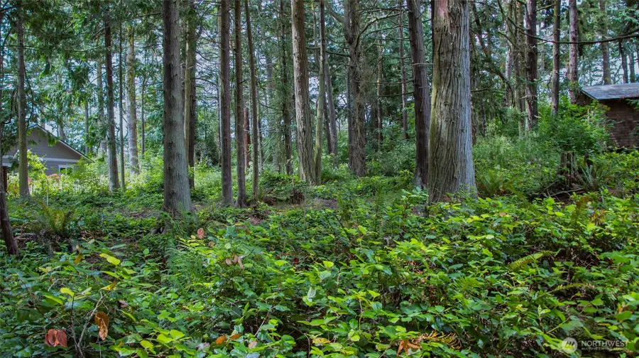 5679 Sheridan Street #6 and 8, Port Townsend, WA 98368 - Image #2