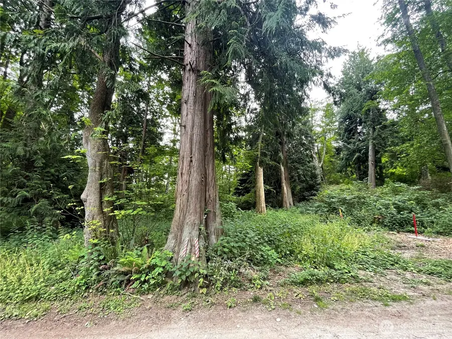 52 Saratoga Drive #F-52, Hat Island, WA 98206 - Image #3