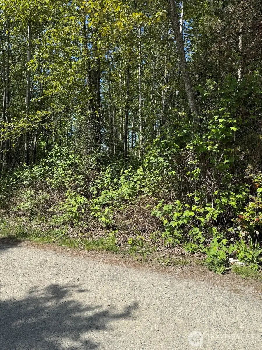 101 221st Avenue E, Bonney Lake, WA 98391 - Image #2