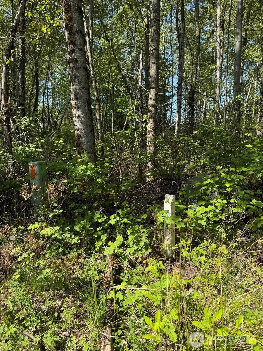 101 221st Avenue E, Bonney Lake, WA 98391 - Image #3