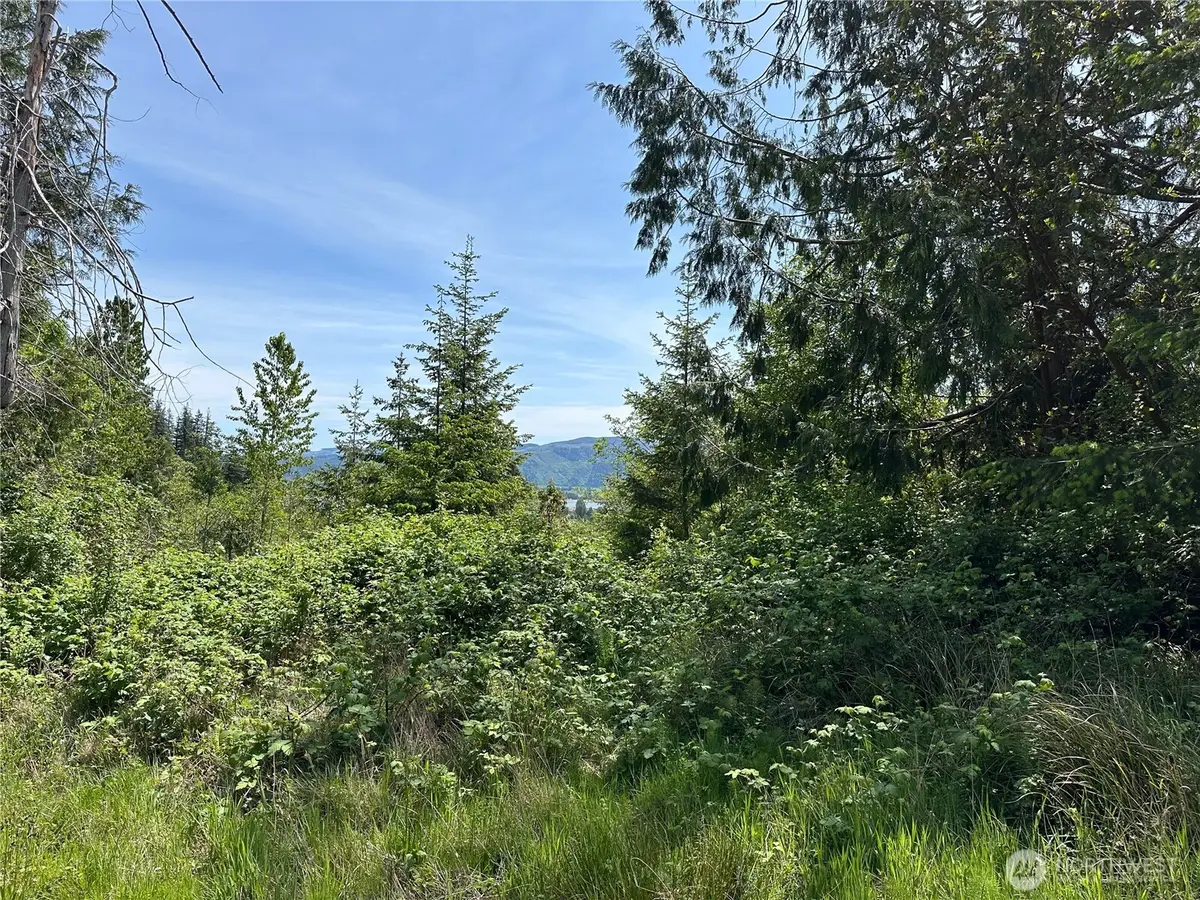 0 Maple Ridge Rd #7, Cathlamet, WA 98612 - Image #1