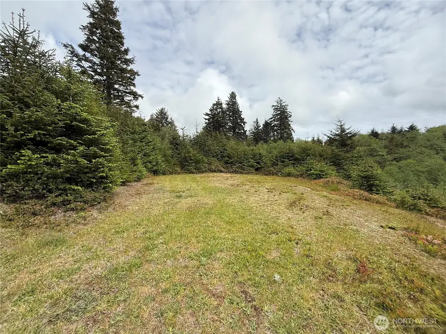 34 Discovery Court #34, Ilwaco, WA 98624 - Image #3