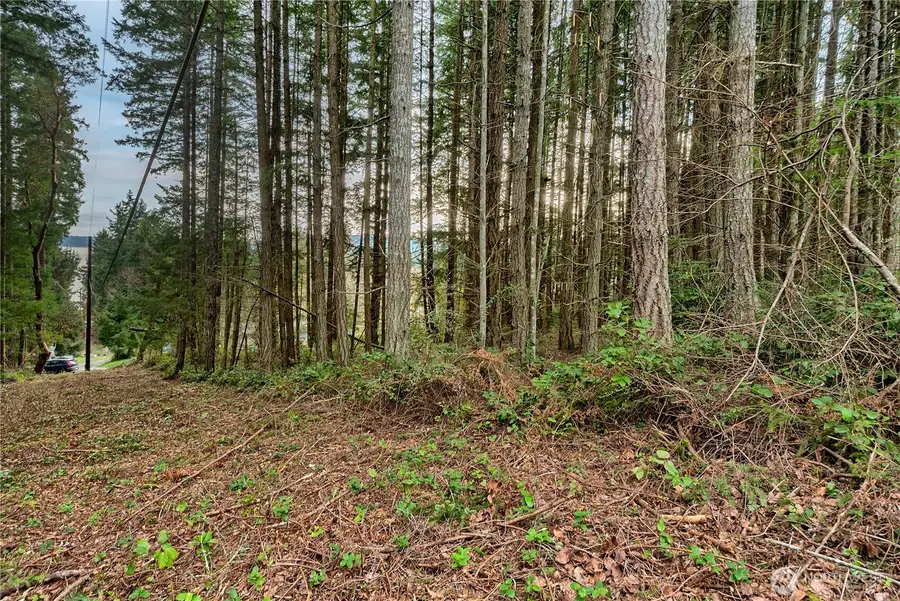 2 Huckleberry Lane, Port Ludlow, WA 98365 - #2