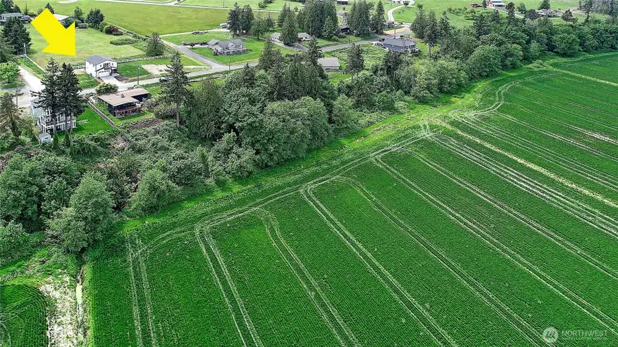 1458 Larkspur Lane, Camano Island, WA 98282 - Image #3