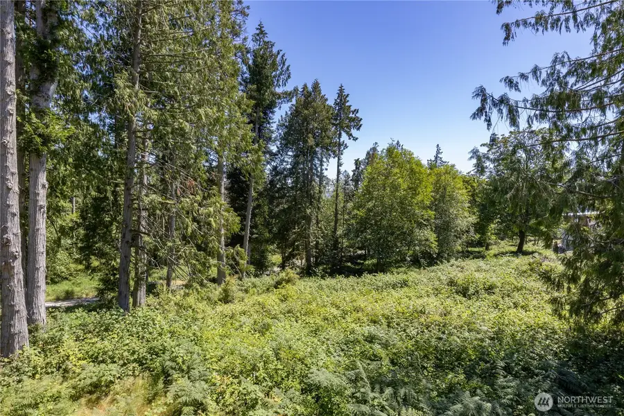 0 Linda View Drive #51 & 52, Port Ludlow, WA 98365 - Image #3