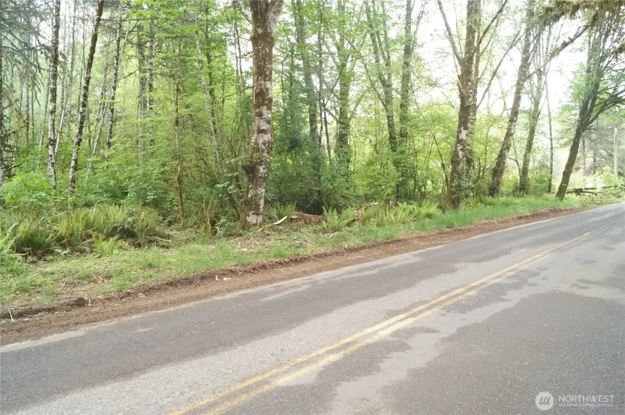 0 North River Road, Cosmopolis, WA 98537 - Image #2