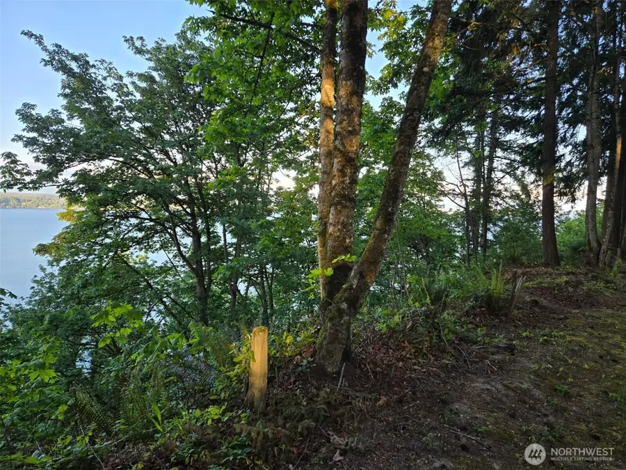 4203 SE Camano Drive, Camano Island, WA 98282 - Image #3