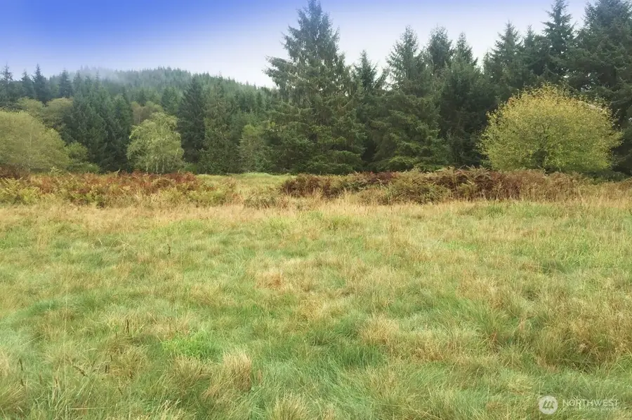 0 South Valley Lane #5, Naselle, WA 98638 - #2