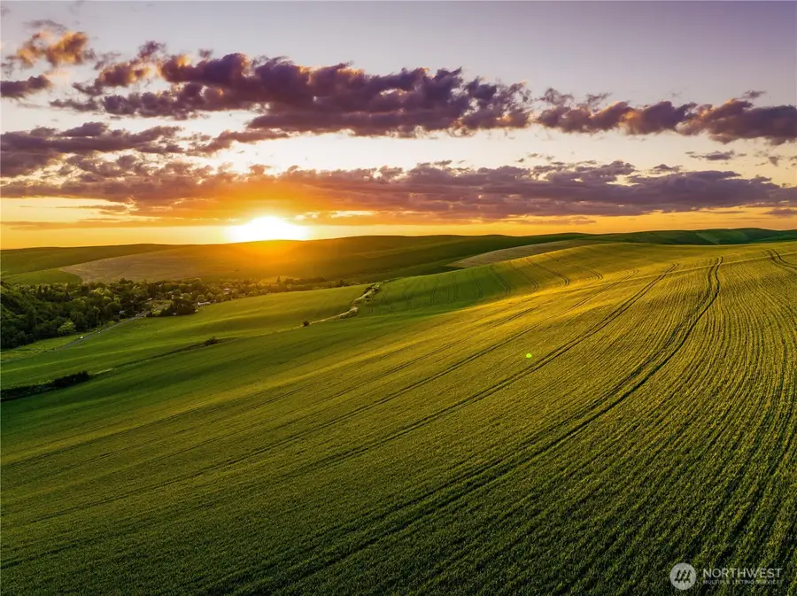 0 Biscuit Ridge Road, Dixie, WA 99329 - #3