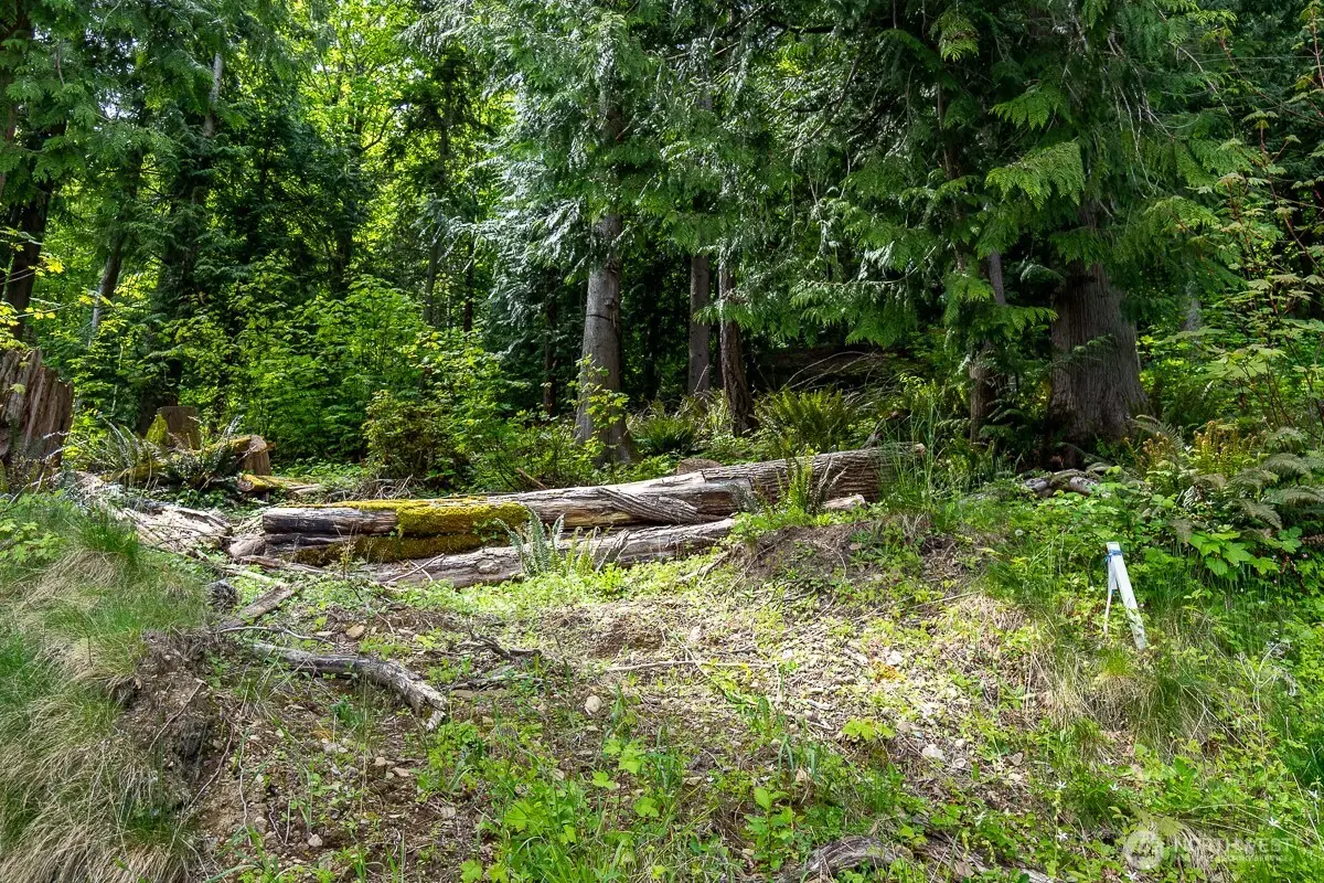 0 W Alder Road #15, Sedro Woolley, WA 98284 - Image #1