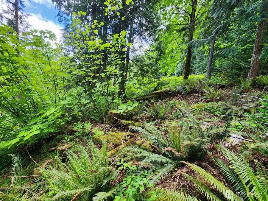 0 W Alder Road #15, Sedro Woolley, WA 98284 - Image #3