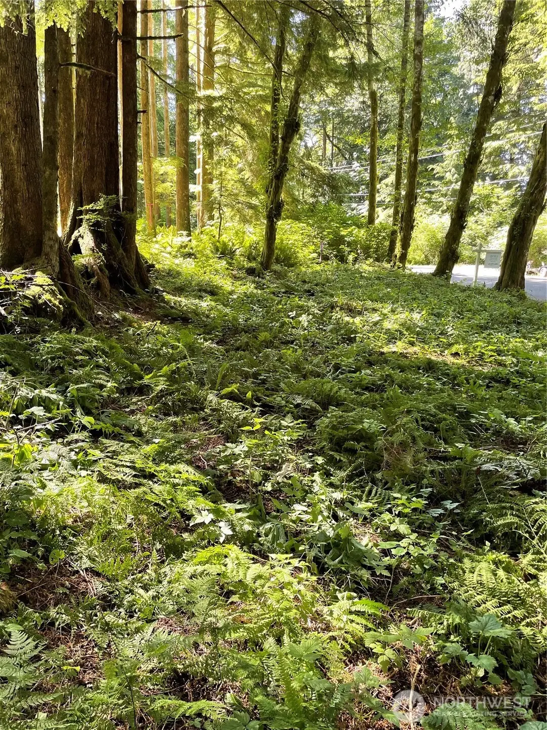 0 S Shore Drive #111, Mount Vernon, WA 98274 - Image #1