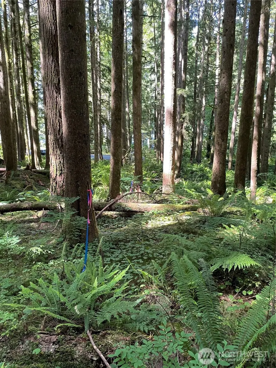 0 S Shore Drive #111, Mount Vernon, WA 98274 - Image #3