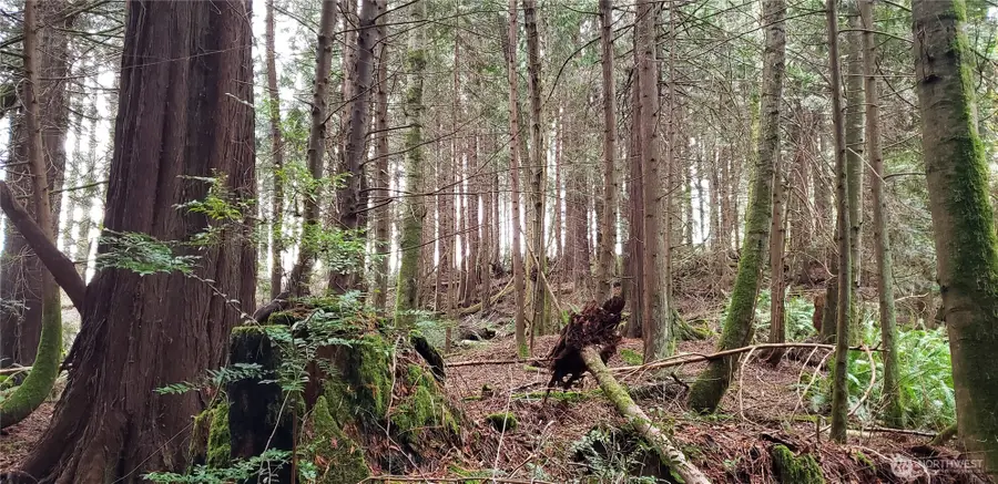 28 NE State Hwy 104, Kingston, WA 98346 - #2