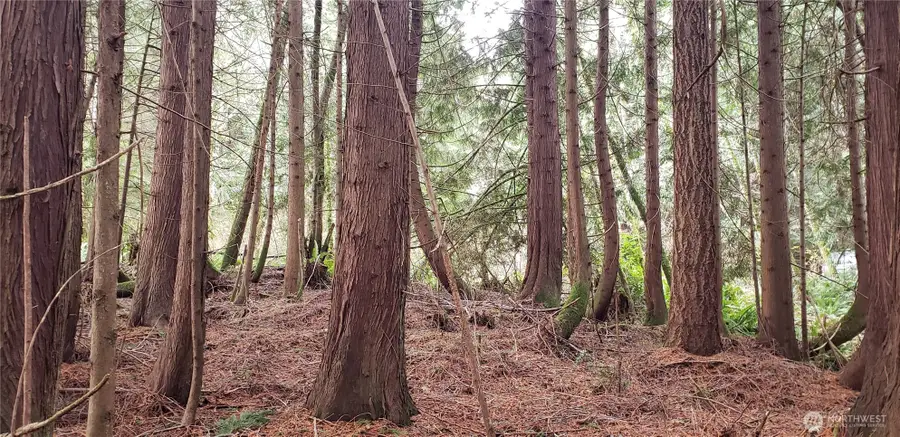 28 NE State Hwy 104, Kingston, WA 98346 - #3