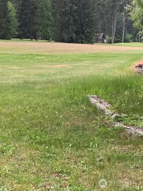 201 N Duckabush Drive E #145, Hoodsport, WA 98548 - Image #3