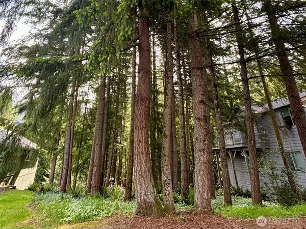 7 Orchid Court #18, Bellingham, WA 98229