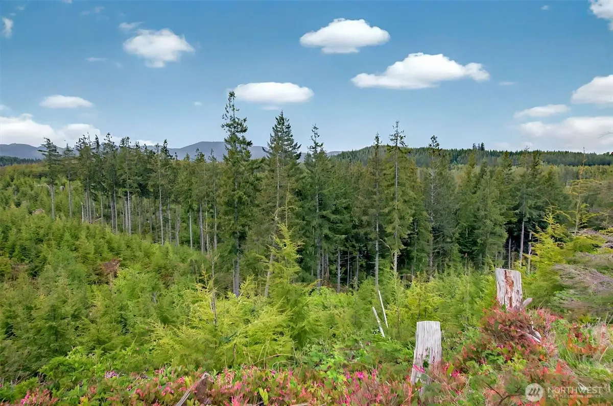 4 Parpala Road #4, Naselle, WA 98638 - #1