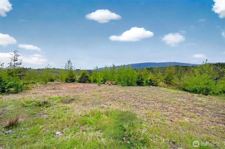 4 Parpala Road #4, Naselle, WA 98638 - #3