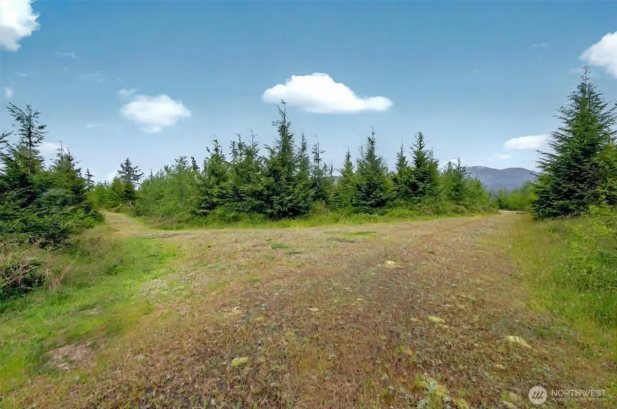 5 Parpala Road #5, Naselle, WA 98638 - #1