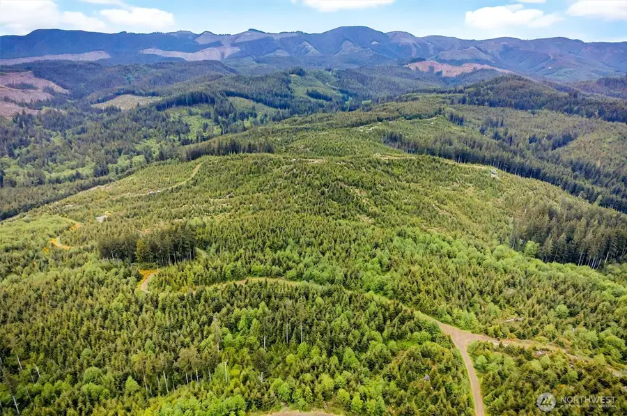 5 Parpala Road #5, Naselle, WA 98638 - #2